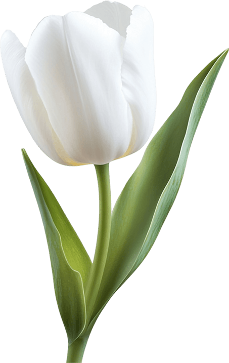 Flower Biorgany 02