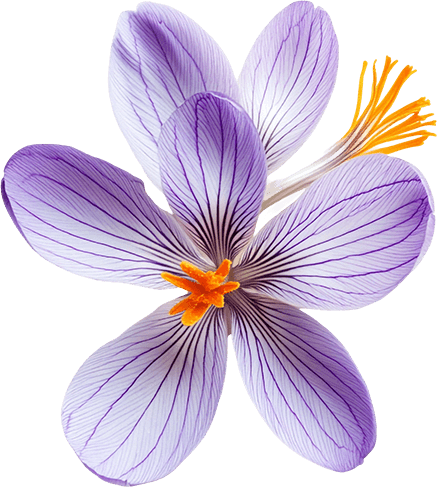 bakuchiol-flower-biorgany